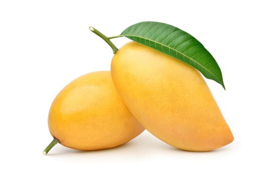 Mango Butter - Shae